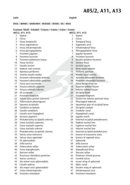 A05/2 A11 A13 - 3B Scientific