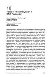 Roles of Phosphorylation in DNA Replication - DNA Replication and ...