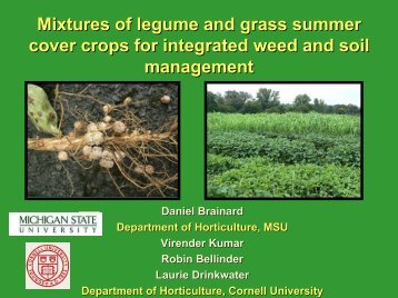Mixtures of legume and grass summer cover crops for integrated ...