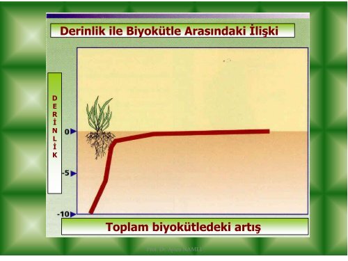 toprak faunasÄ±