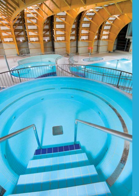 Pool 2011 - D & M Interier sro