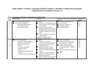 Popis obsahu a struktury programu - IPMA