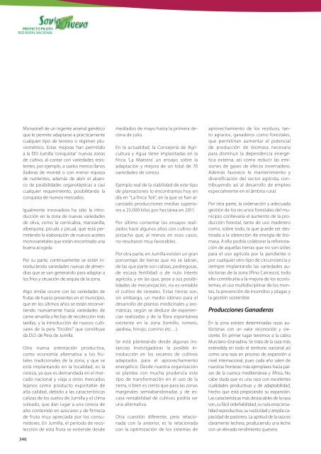 estudio de posibilidades y viabilidad de actividades ... - Coag