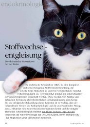 Erfolgreiche biologische Tiermedizin - BolligerTschuor