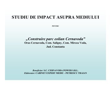 Parc Eolian Cernavoda - Petrescu Traian - Expert Mediu