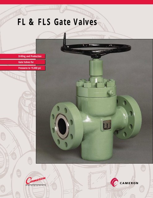 FL & FLS Gate Valves - cedip