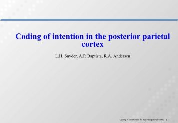 Coding of intention in the posterior parietal cortex