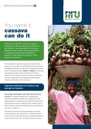 You name it, cassava can do it - Research Into Use