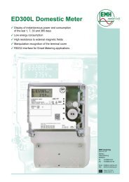 ED300L Domestic Meter - Imbema Controls