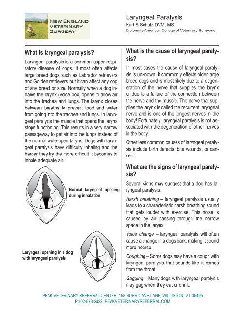 Laryngeal Paralysis - Peak Veterinary Referral Center