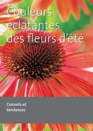 PDF â Couleurs Ã©clatantes des fleurs d'Ã©tÃ© - grneprofis-beb.ch