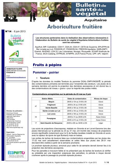 BSV arboriculture Aquitaine NÂ° 14 - DRAAF Poitou-Charentes