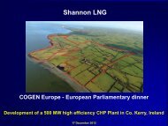 Martin Regan of Shannon LNG - COGEN Europe