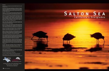 Salton Sea Booklet - Spatial Programs at the University of Redlands
