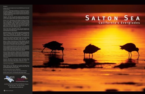 Salton Sea Booklet - Spatial Programs at the University of Redlands