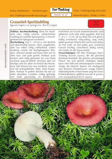Graustiel-SpeitÃƒÂ¤ubling Russula emetica var. griseascens - Tintling