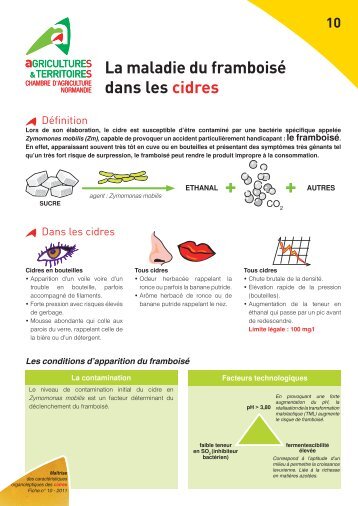 La maladie du framboisÃ© dans les cidres