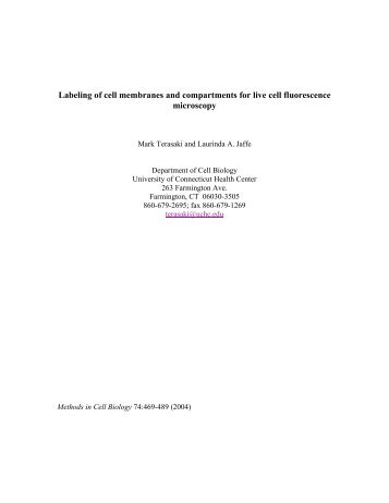 Labeling of cell membranes and compartments for live cell ...