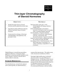 Thin-layer Chromatography of Steroid Hormones