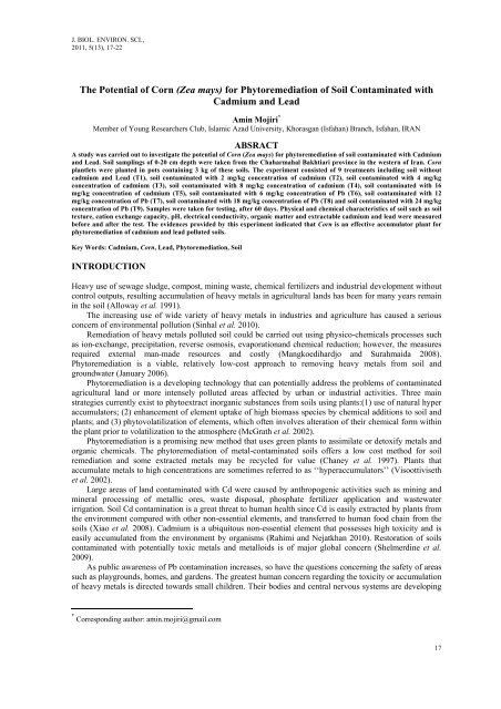 The Potential of Corn (Zea mays) for Phytoremediation of Soil ...