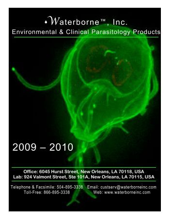 download molecular genetics of bacteria 2004