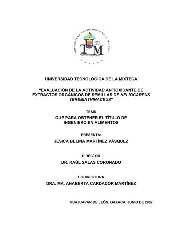 evaluaciÃ³n de la actividad antioxidante de extractos orgÃ¡nicos de ...