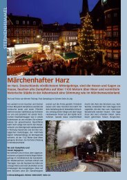MÃ¤rchenhafter Harz - Birseck Magazin
