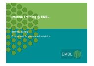 EMBL PhD programme and postdoctoral opportunities - European ...
