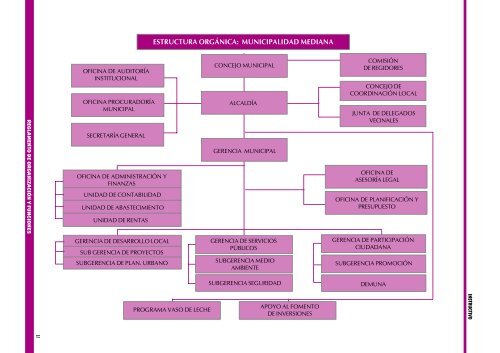 REGLAMENTO DE ORGANIZACION Y FUNCIONES REGLAMENTO ...