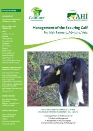 Management of the Scouring Calf - Animal Health Ireland