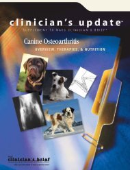 Canine Osteoarthritis: Overview, Therapies, and Nutrition