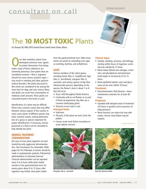 The 10 Most Toxic Plants