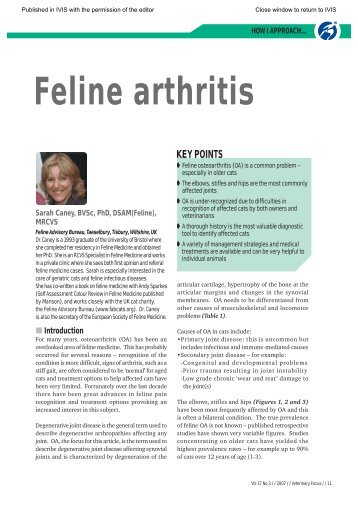 How I Approach... Feline Arthritis. In: Veterinary Focus 17(3); 2007