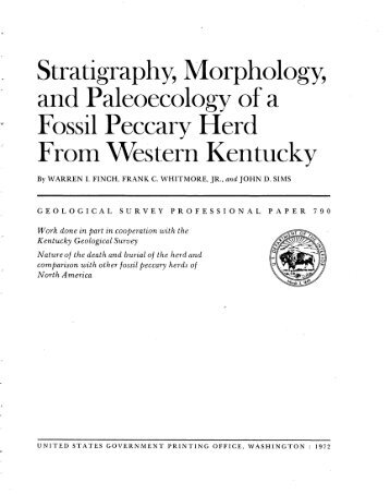 Stratigraphy, Morphology, and Paleoecology of a Fossil ... - USGS