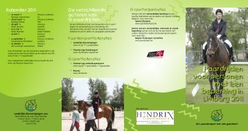 Paardrijden voor personen met een beperking in Limburg 2011 - VLP