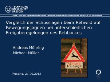 MÃ¶hring_Schusslagenvergleich beim Rehwild.pdf