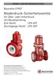 Niederdruck-Sicherheitsventile - Richter Chemie Technik