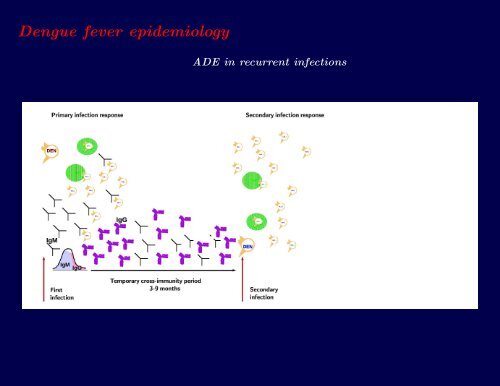 Descriptive and Predictive models of dengue epidemiology: an ...