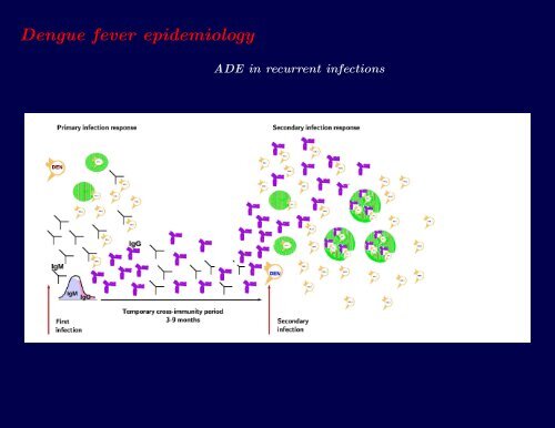 Descriptive and Predictive models of dengue epidemiology: an ...