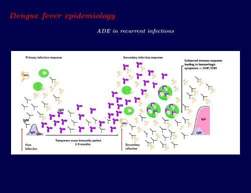 Descriptive and Predictive models of dengue epidemiology: an ...