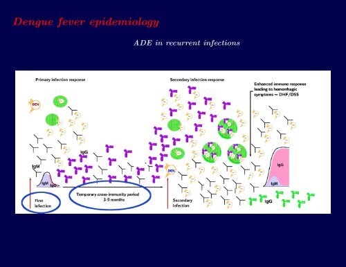 Descriptive and Predictive models of dengue epidemiology: an ...