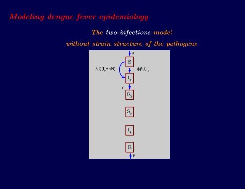 Descriptive and Predictive models of dengue epidemiology: an ...