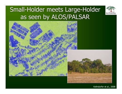 Implementing REDD: The Potential of ALOS/PALSAR for Forest ...