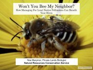 Native Bees - Colorado State Beekeepers Association