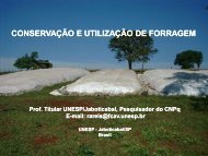 CONSERVAÃƒÂ‡ÃƒÂƒO E UTILIZAÃƒÂ‡ÃƒÂƒO DE FORRAGEM - Unesp