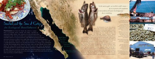 Seafood and the Sea of Cortez - Arizona-Sonora Desert Museum