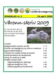 Ringblad 2-2009 - maskinringen.no
