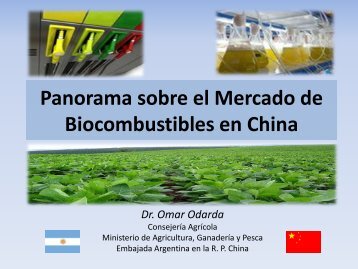 Biocombustibles en China - Mercosoja 2011