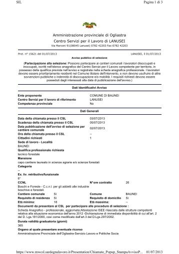 avviso pubblico selezione Tecnico forestale Comune Baunei.pdf