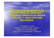 presencia de salmonella en carnes frescas, despojos y derivados ...